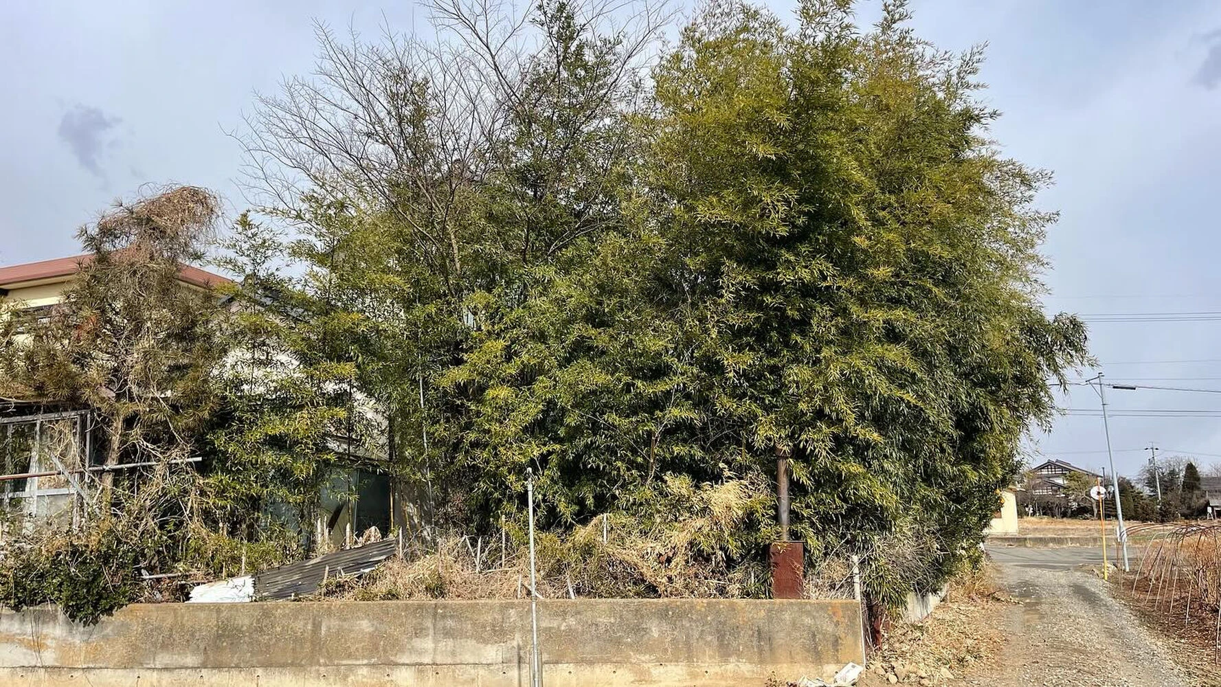 ブログ画像
