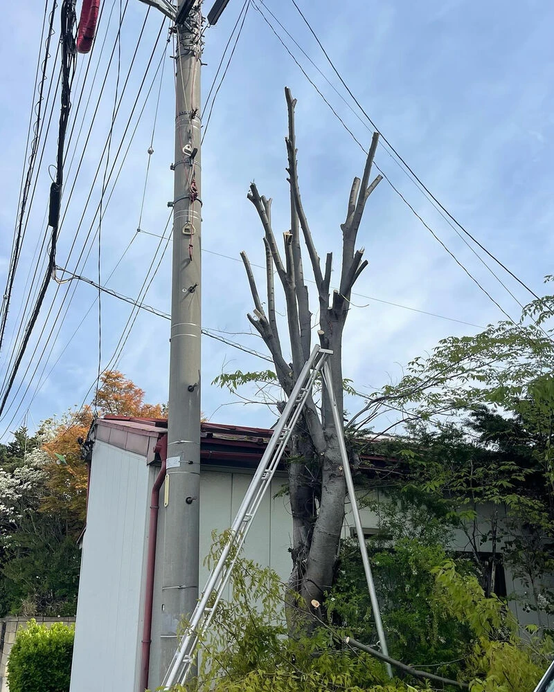 ブログ画像