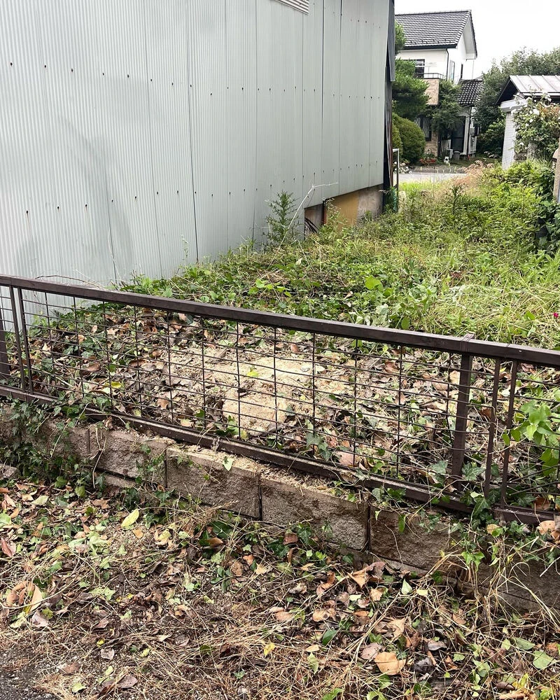ブログ画像