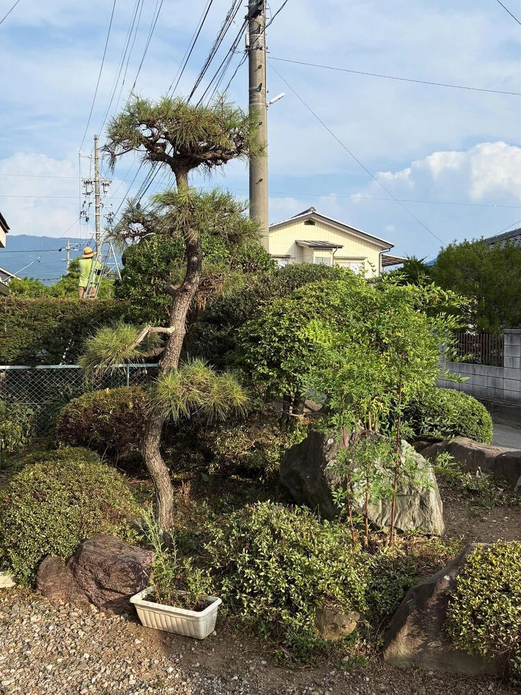 ブログ画像