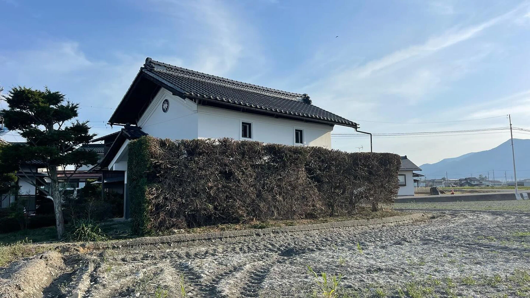 ブログ画像