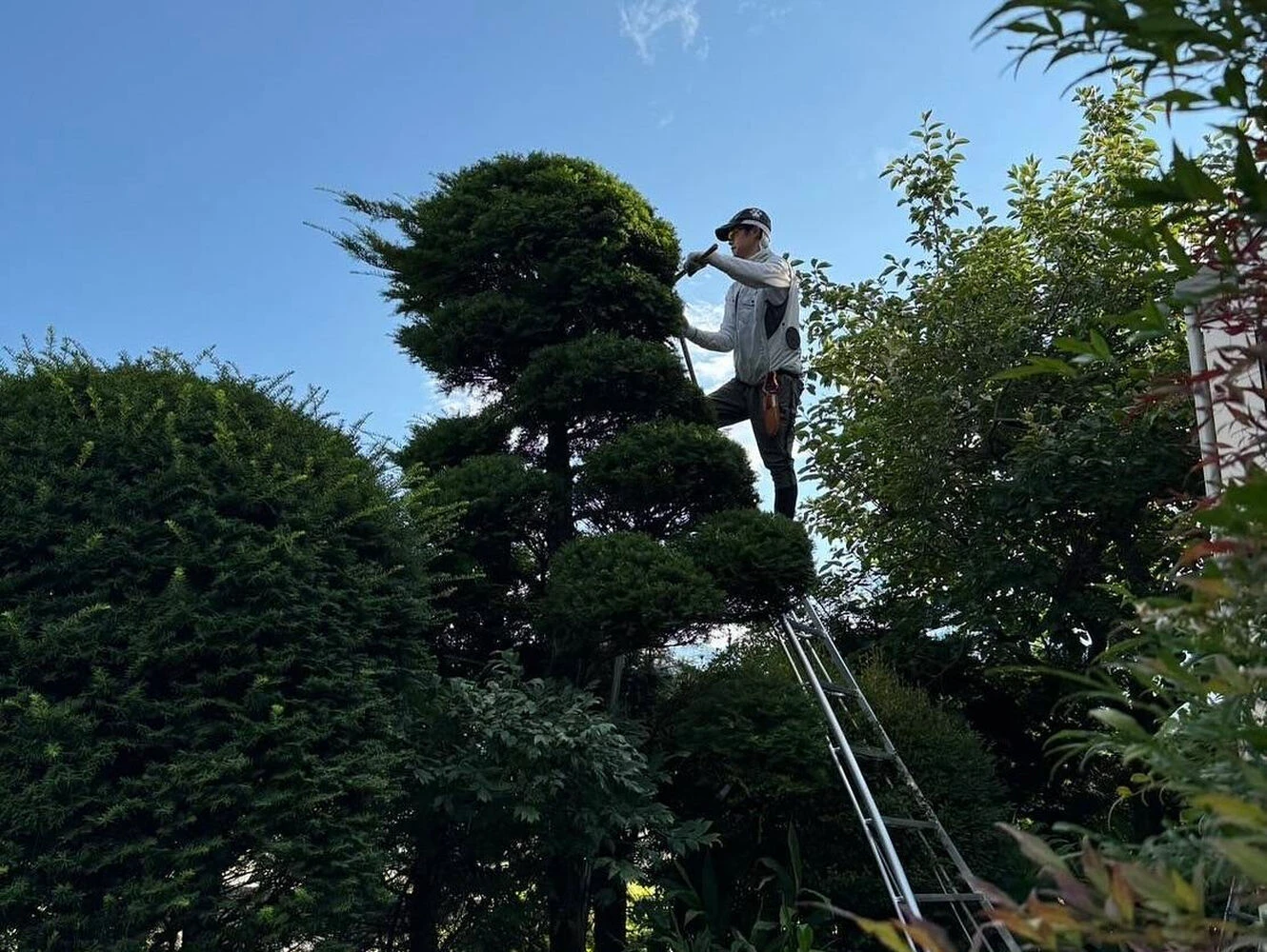 ブログ画像