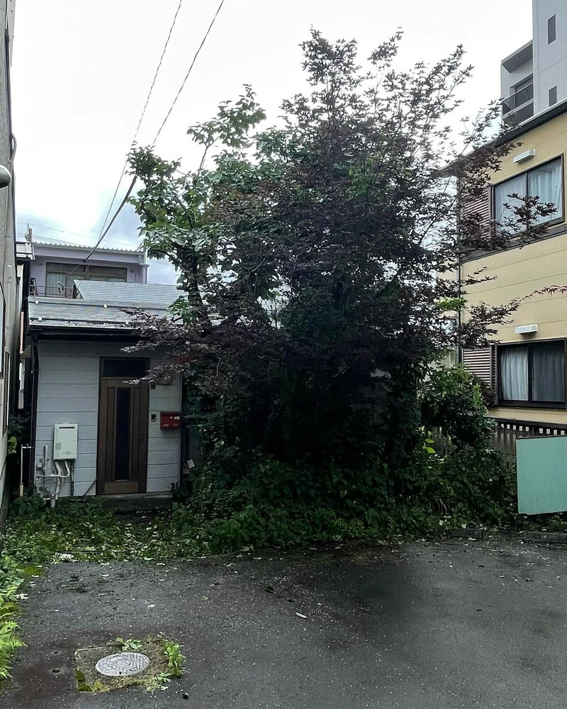 ブログ画像