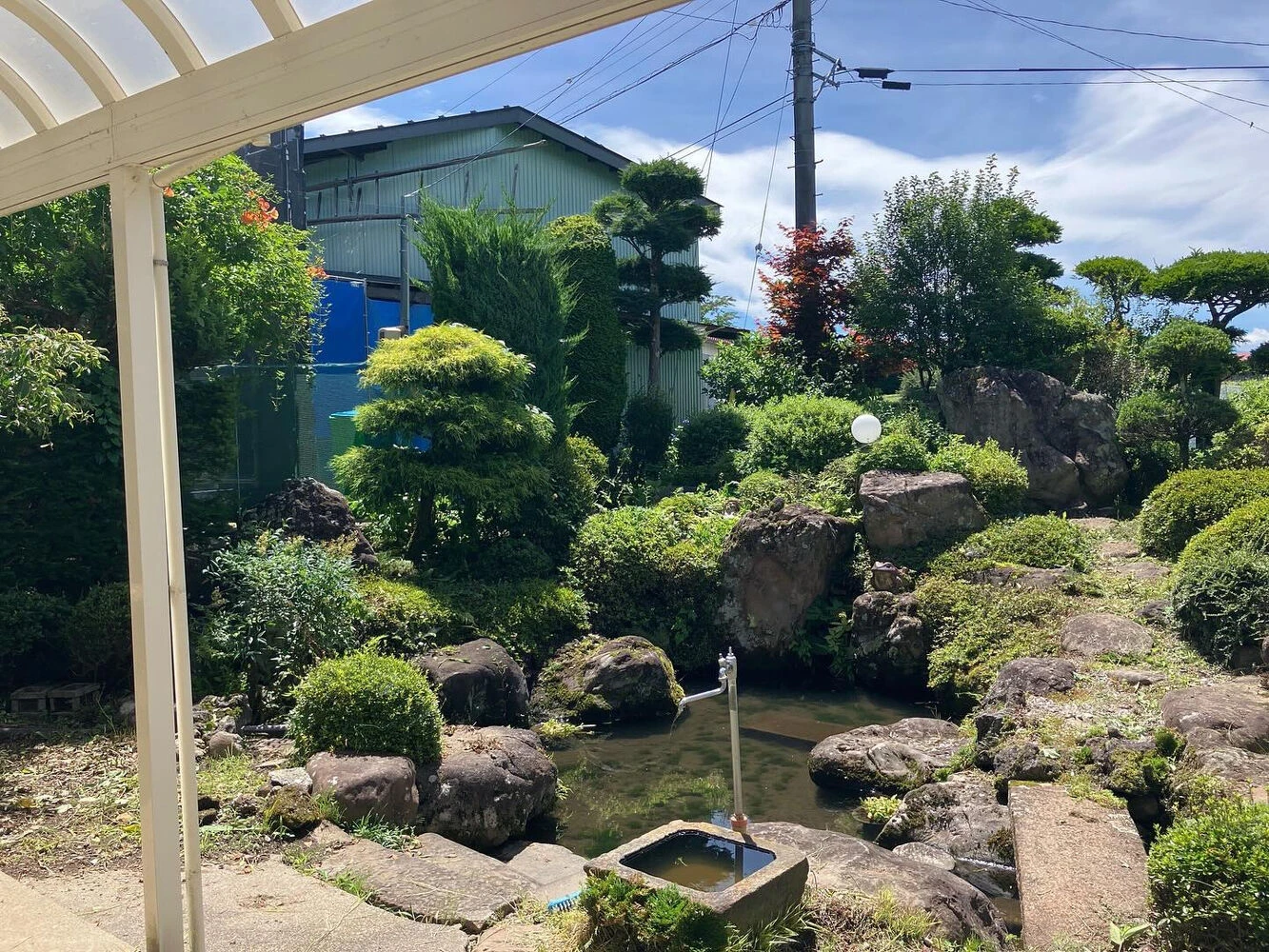 ブログ画像