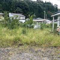 ブログ画像