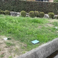 ブログ画像